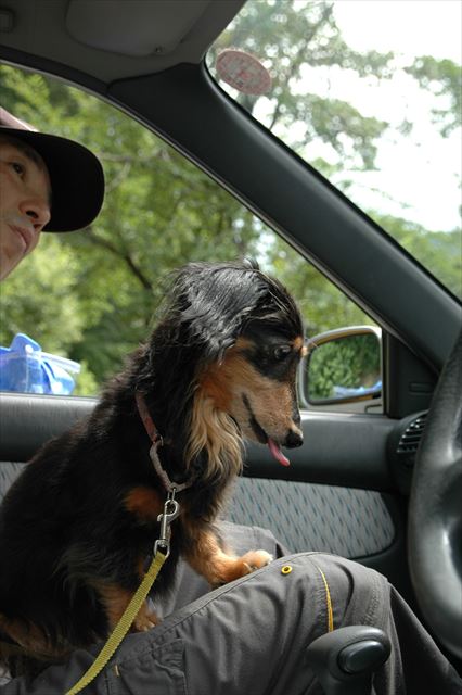 舌もかわいい！！