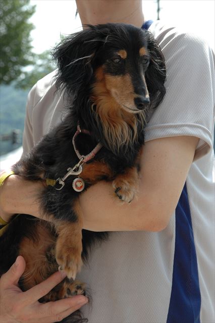 大事に大事にだっこされてるね・・