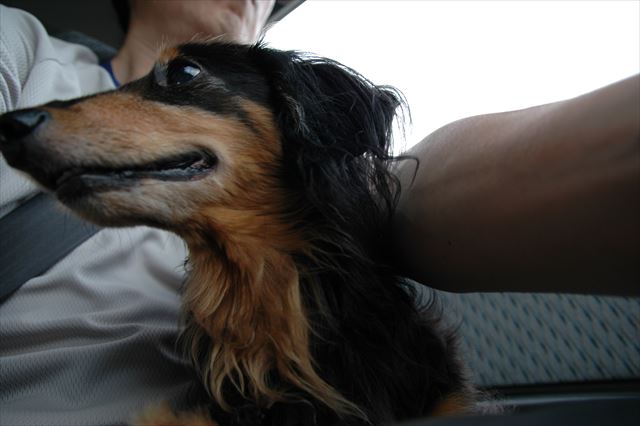 今でも一緒だよね。どこに行くのも一緒だよね。