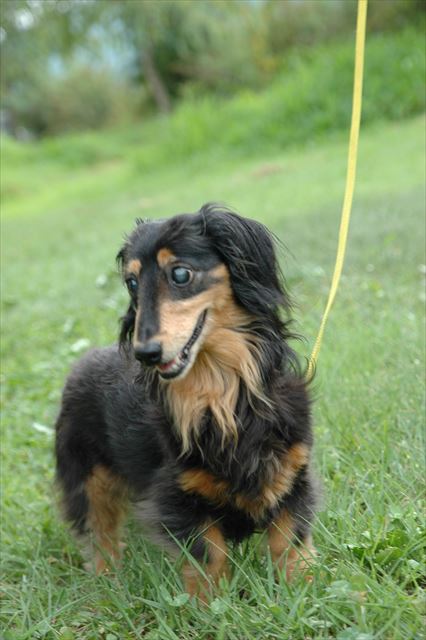 ルパン、大好きだよ。