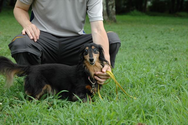 papaと一緒。うれしいね。幸せだね。