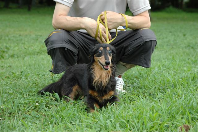 勇敢なルパン。でも怖がり。papaの側で安心安心・・