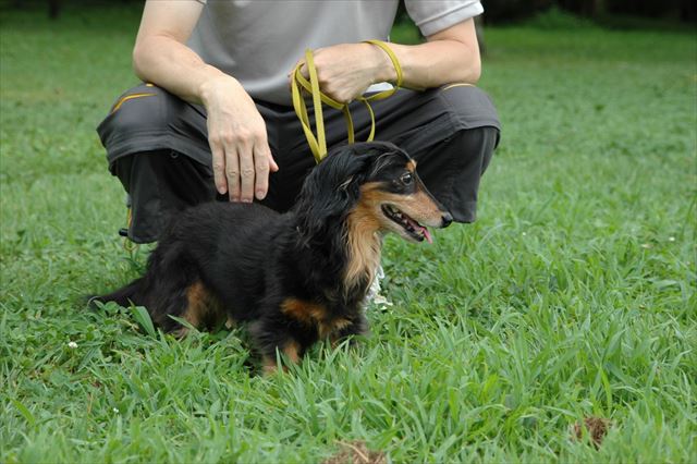 ルパンが大好きな場所に今日も来たよ。