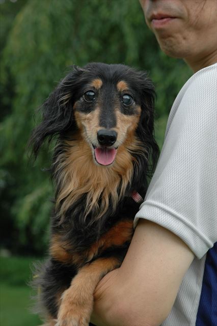 ちょっと甘えた顔。ルパン好き。大好き。