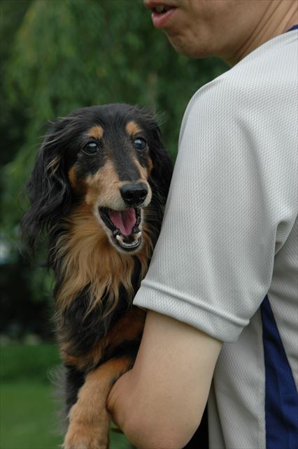 ルパンの豊かな表情が大好きだった。