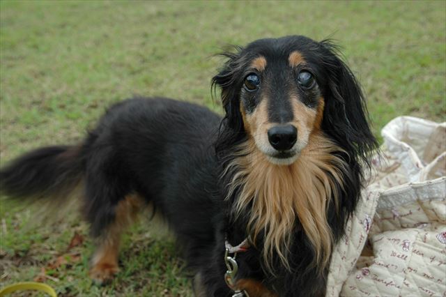 なーに？その顔は・・おやつかな？