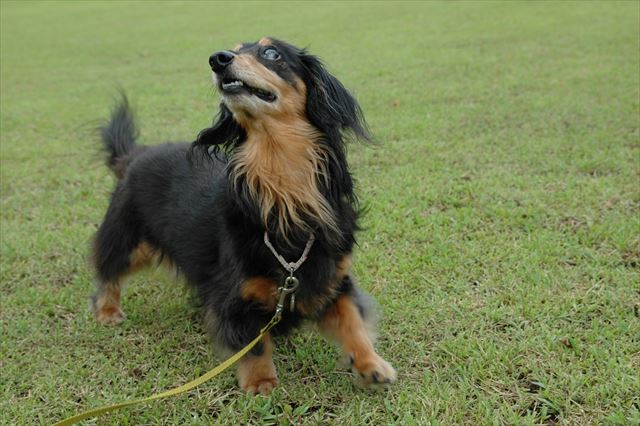 見えてなくても見てるんだよね。わかってるよ。