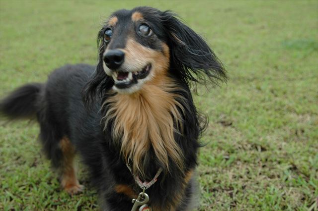 スマイル！ルパンを思い出して笑ってみるよ。