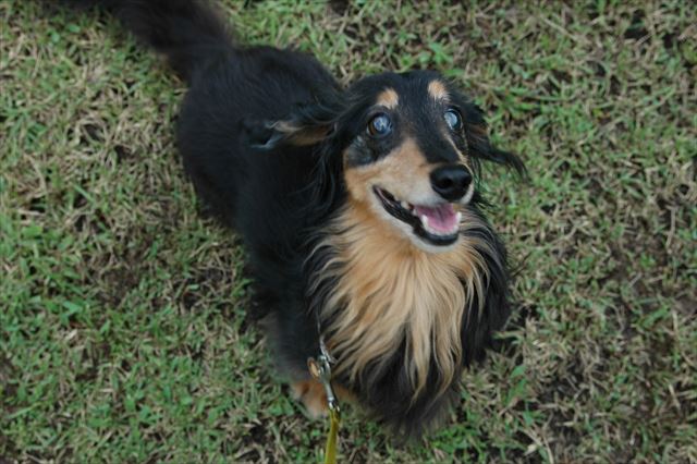 この笑顔が大好きだった。ルパンのことが大好きだった。