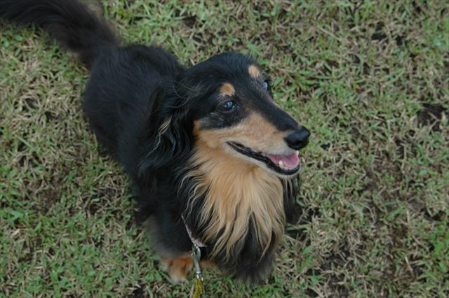 ルパン、大好きだよ。