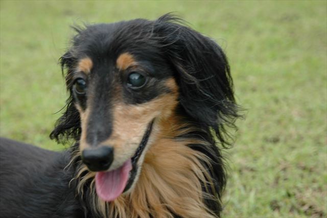 ルパン、今でも大大大好きだよ。