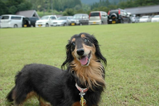 ルパンはいつでも近くにいる。そう感じるよ