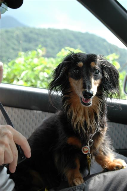 夏の笑顔。ルパンの周りはみんな笑顔。