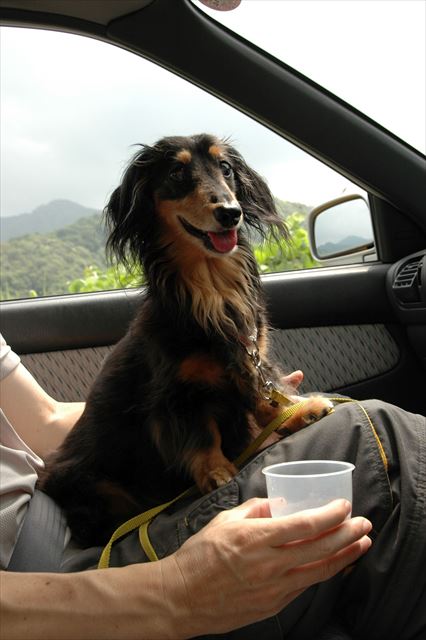 真夏のドライブ。はじける笑顔！