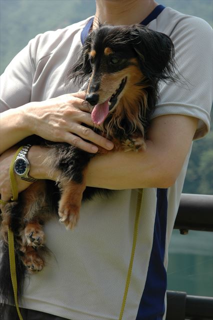 大事に大事にだっこされてるルパン。大好き。ルパンもその愛も。