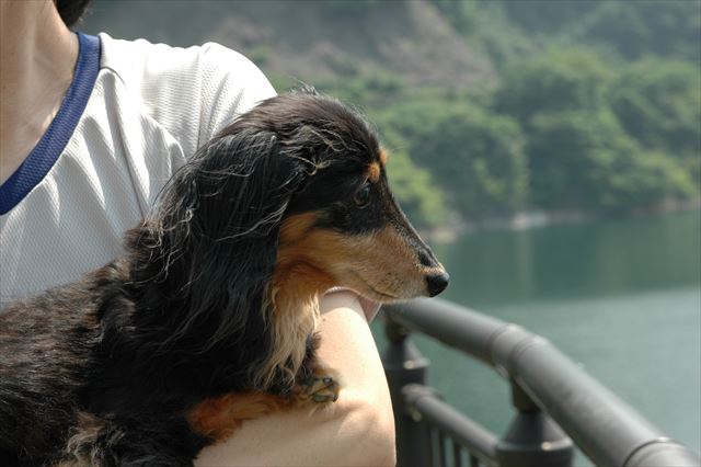 随分遠くまで来たよね。ルパンがいる風景はみんなみんな美しい。