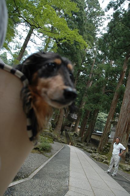 永平寺にて。一緒に行ったよね。