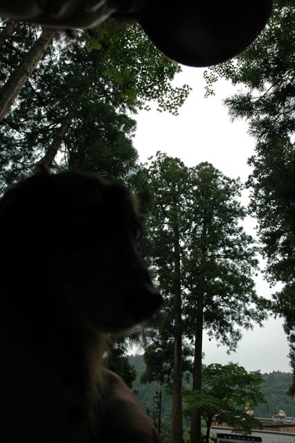 みんな一緒の夏休み♪