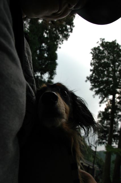 永平寺にて。どこに行くのも一緒だったね。