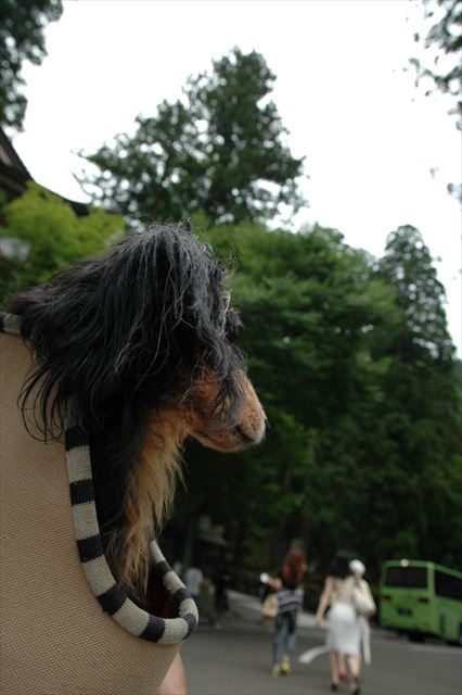 永平寺。随分遠くまで来たよね。