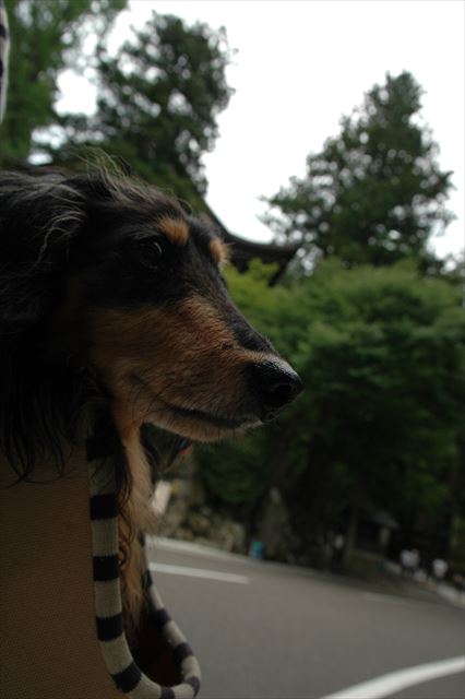 いつでも一緒。今でも一緒。