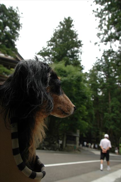 どこへ行くのも一緒だったね。