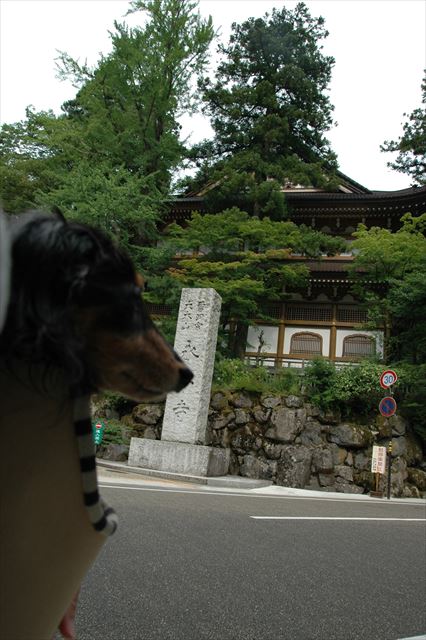 楽しかったね。今でも一緒に旅行してるよね。