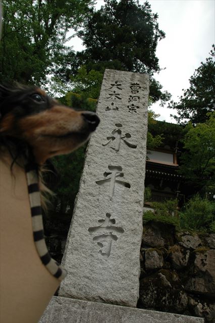 いろんな所に行ったよね。楽しかったよ、ルパン。