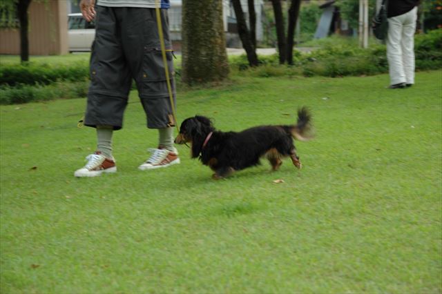 ルパン大好き。ルパンと走るのも大好き。