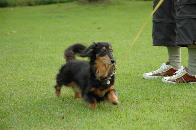 ルパン、私とたくさん遊んでくれてホントにホントにありがとう。