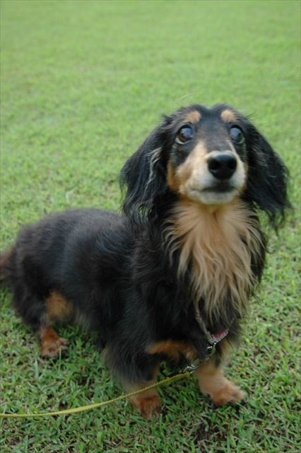 ルパン、大好き♪