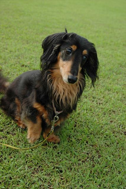 はいはい、ちゃんと見てるよ。おりこうさん♪　ご褒美あげようね。