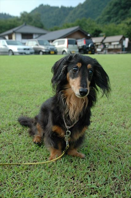 ルパンがいればどこに行っても何をしても楽しかった。そう、ルパンさえいれば。