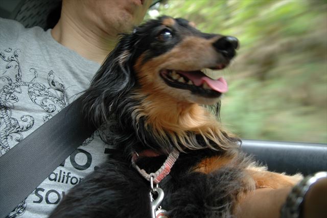 ご機嫌だね。私もうれしいよ。