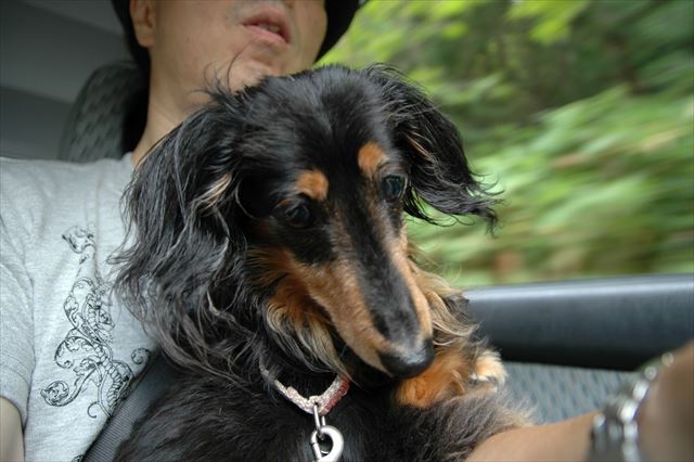 いつの間にかドライブ大好きになってたよね。