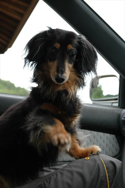 うんうん、おやつ、だよね？