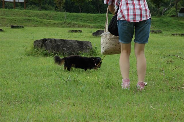 横浜に行ってきたよ。懐かしかったよルパン。