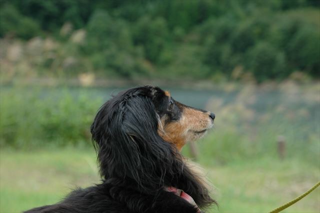 papaをじーっと見つめてる・・