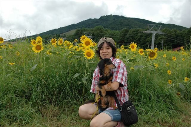 いい思い出だなぁ。ルパンと私とひまわり、夏。