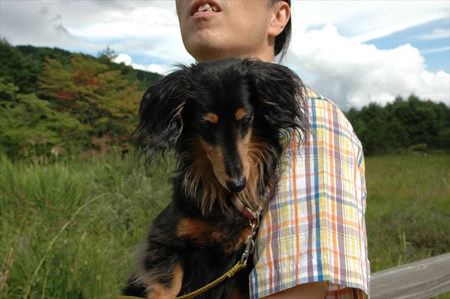青い空。白い雲。そしてルパンがいる。それだけでよかった夏休み。