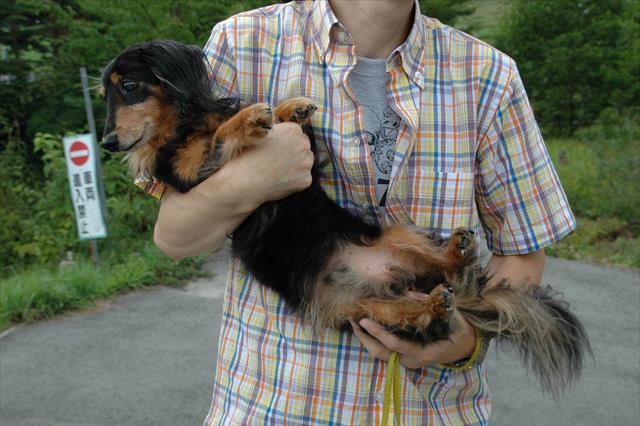 お姫様？王子様？だっこ。papaの腕の中。安心しきってる！