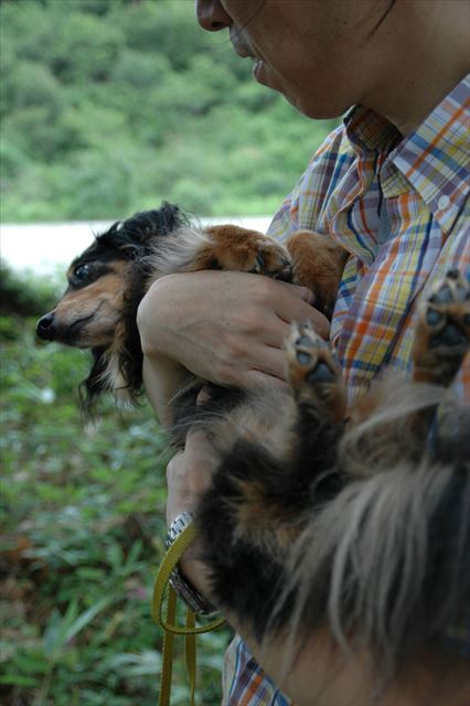 お姫様？王子様？だっこ。papaの腕の中、安心しきってる！