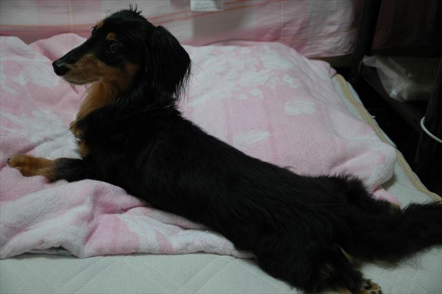 ずっと一緒にいられる夏休み。永遠に続いて欲しかった。