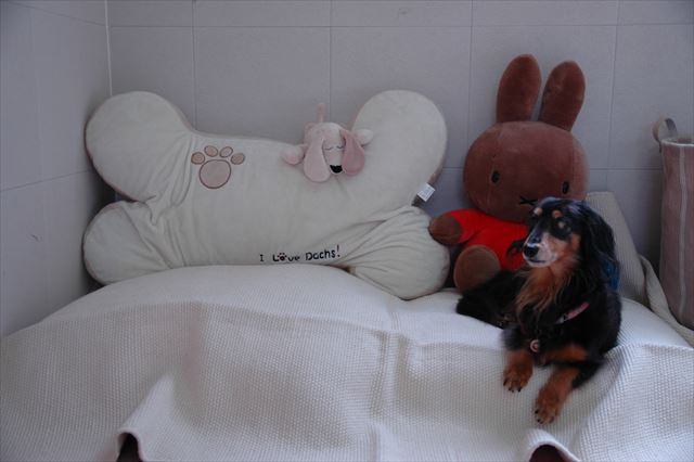 ふわふわソファー作ったよ。気に入ってくれた？