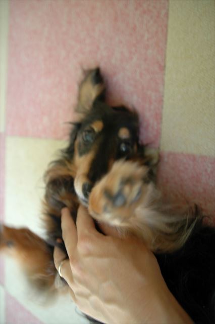 駄々っ子はくすぐっちゃうぞ～。