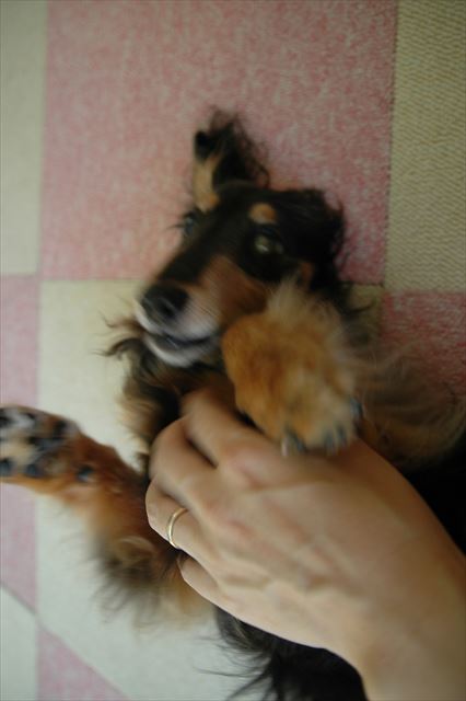 気持ちい気持ちい・・♪