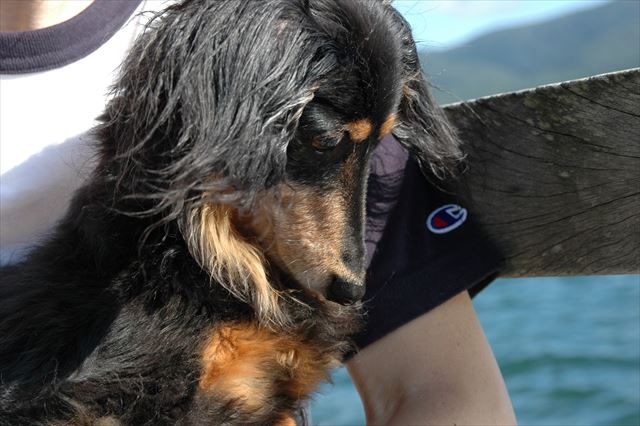 見えてるんだよね。ルパンは心の目で見るんだよね。