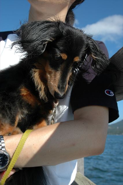 うんうん、下が気になるのね。下りたい？