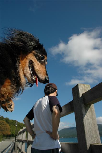 みんなで行った夏のドライブ。空も海もキラキラ輝いてた。ルパンがいると何もかも輝いて見えた。