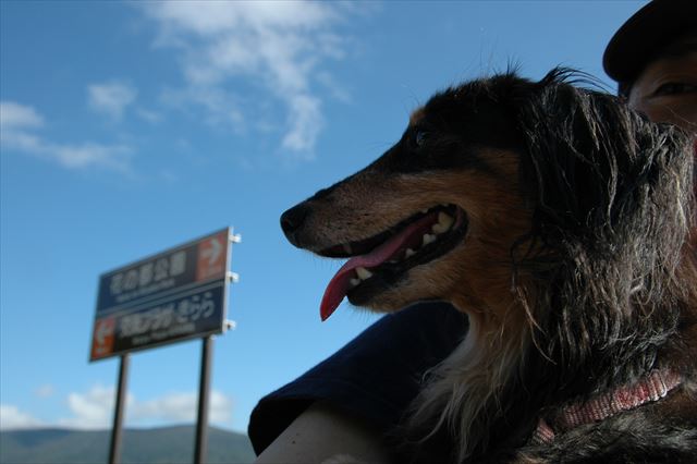 真っ青な空。ルパンは天候にもミラクルを起こす奇跡の子！